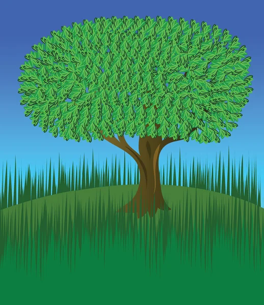 Eenzame boom op heuvel — Stockfoto