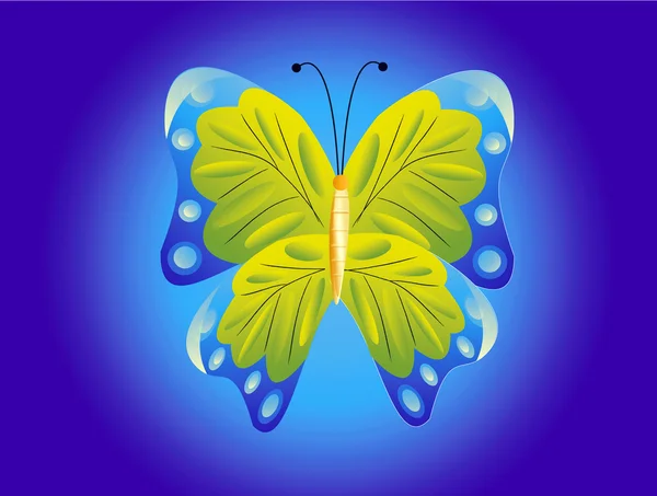 Σχέδιο της πεταλούδας — Φωτογραφία Αρχείου