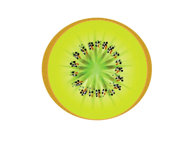 Fruit kiwi in cut — Stock Photo, Image
