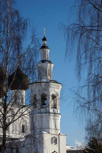 Huş ağaçları arasında kilise çanı kulesi, Vologda, Rusya — Stok fotoğraf