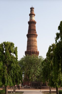 Kutub Minar kulesi ağaçların arasında, Delhi, Hindistan