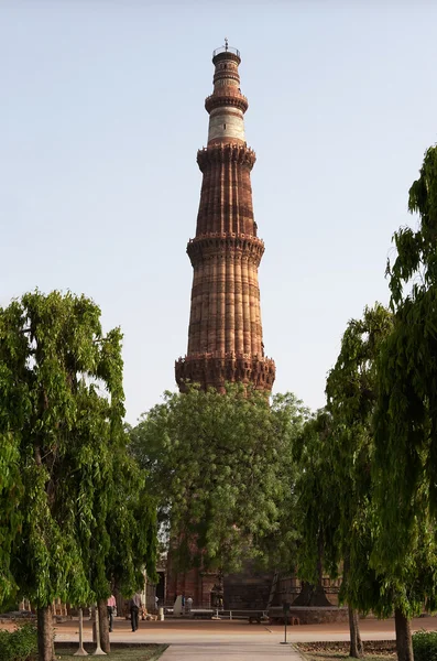 인도 델리에 있는 나무들 사이에 있는 쿠트 미 나르 탑 — 스톡 사진
