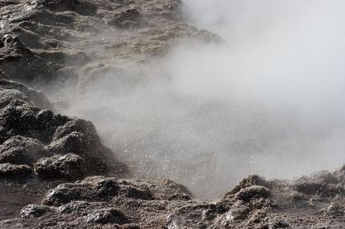 Geyser eruption, El Tatio geyser valley, Chile clipart