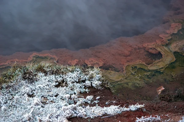 Бассейн с горячими гейзерами и заснеженная трава — стоковое фото