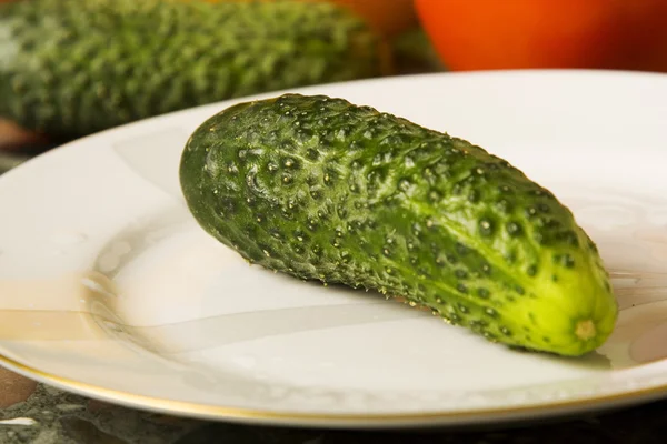 Green cucumber on a plate — Stock Photo, Image
