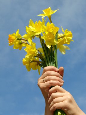 Early spring bouquet clipart