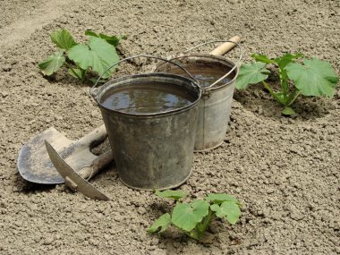 Gardening clipart