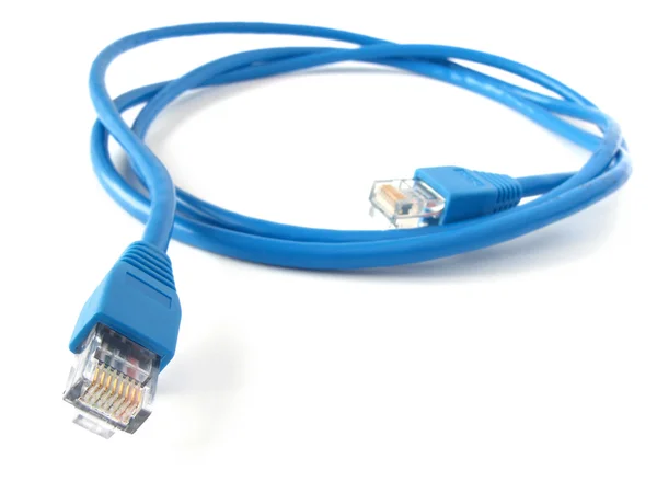 Network cable — Stock Photo, Image