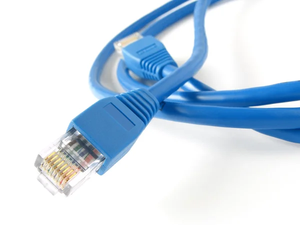Câble réseau — Photo