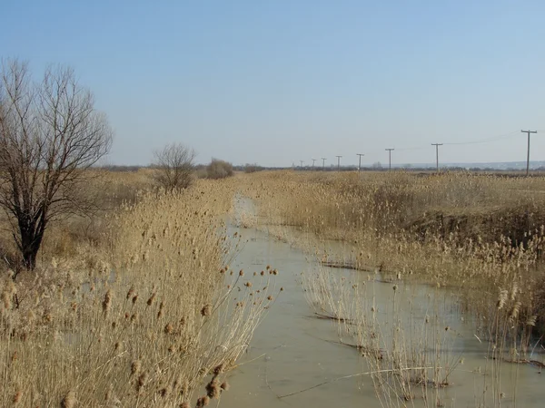 stock image Neglected irrigation canal