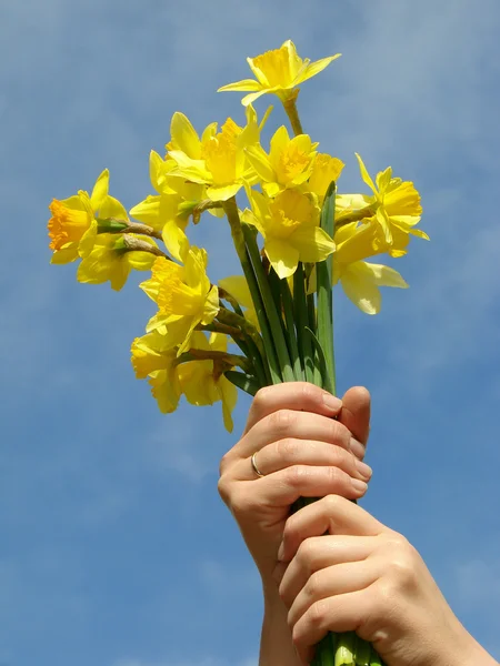 Bouquet di inizio primavera — Foto Stock