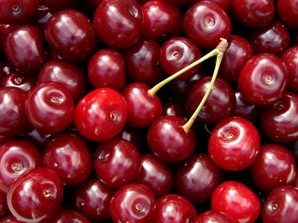 Cherry crop — Stock Photo, Image
