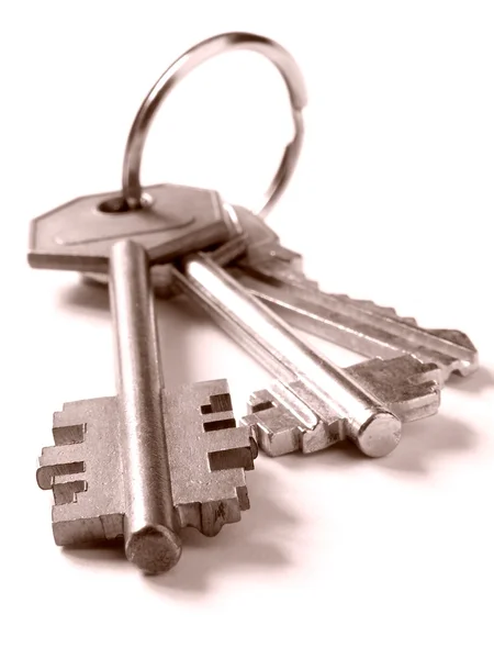 Ramo de llaves — Foto de Stock