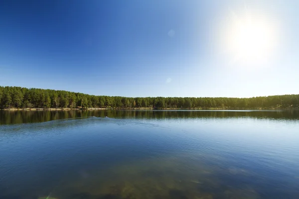 Floresta Lago, Primavera — Fotografia de Stock