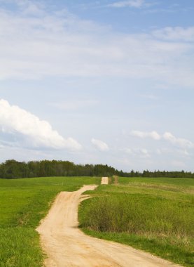 yol boyunca çayır