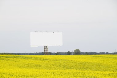 Sign on rapeseed field clipart