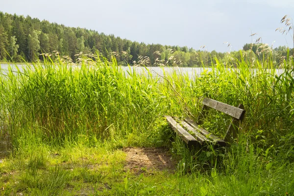 湖边的长椅 — 图库照片