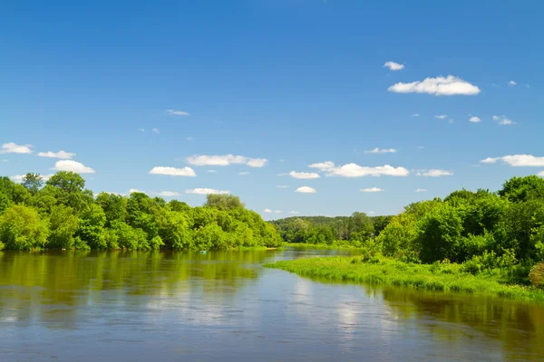 Letní řeka — Stock fotografie