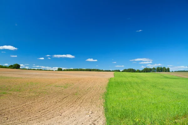 Feld als Saatgut und Bodenbearbeitung — Stockfoto