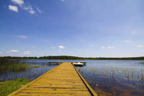 Sommaren sjön, pierce — Stockfoto