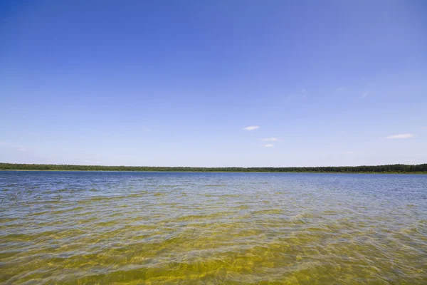 Zomer lake — Stockfoto