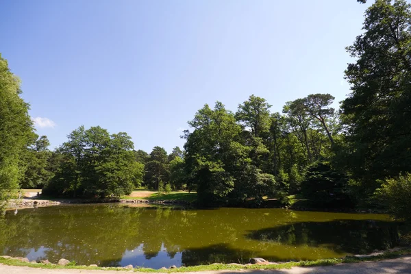 Sjön i sommar park — Stockfoto