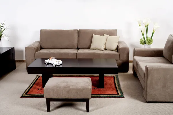 Klasszikus kanapén modern nappali — Stock Fotó