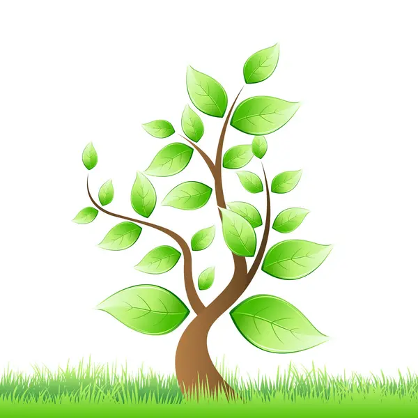 Tree growing in grass — Stock Photo, Image