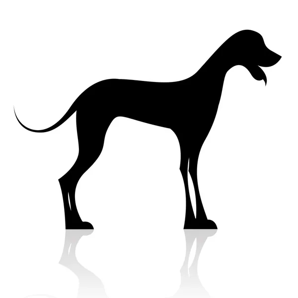 Силуэт чёрной собаки — стоковое фото