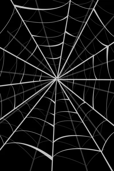 stock image Spider web