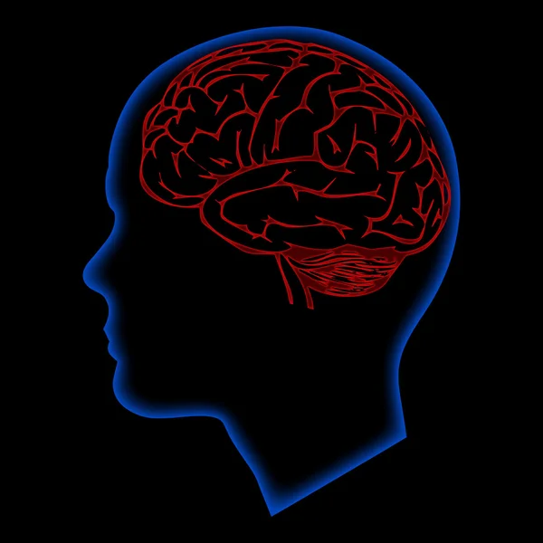 Humna mózgu — Zdjęcie stockowe