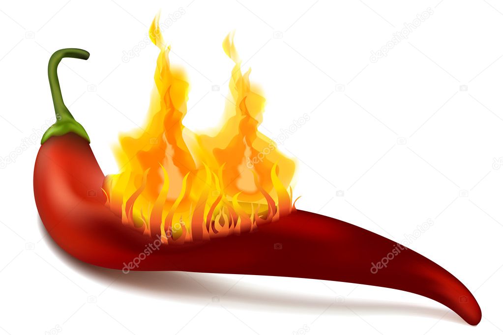 Hot red chilli pepper