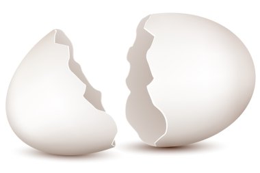 Broken egg clipart