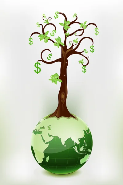 Dolar drzewo — Zdjęcie stockowe
