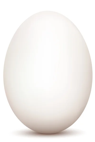 Egy tojás — Stock Fotó
