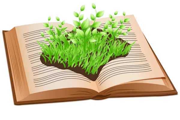 Grass on open book — Stock Photo, Image