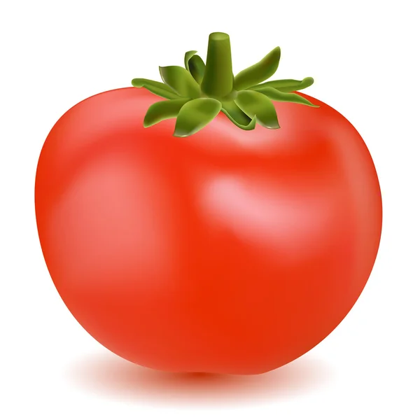 stock image Tomato vegetable