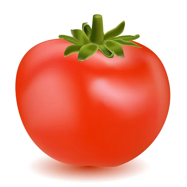 Tomato vegetable — Stock Photo, Image