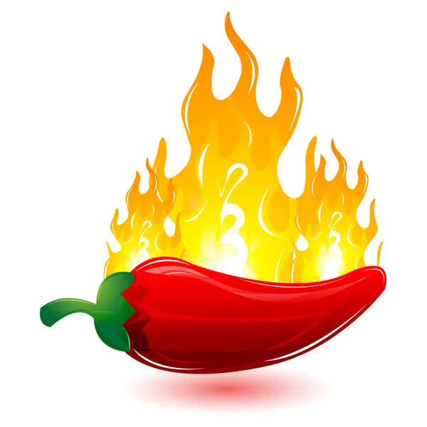 Red chilli with fire — Stock Photo, Image