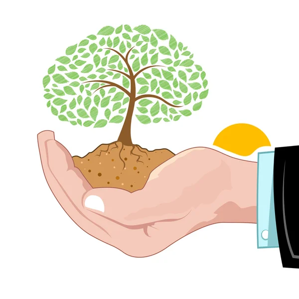 Natural tree growing on hand — Stock Photo, Image
