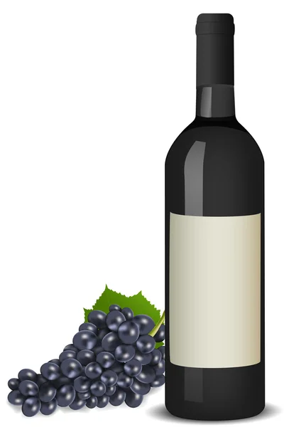 Víno s hrozny — Stock fotografie