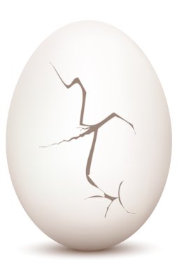 kırık yumurta