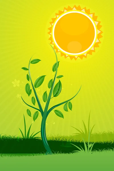 Tarjeta de naturaleza con sol — Foto de Stock
