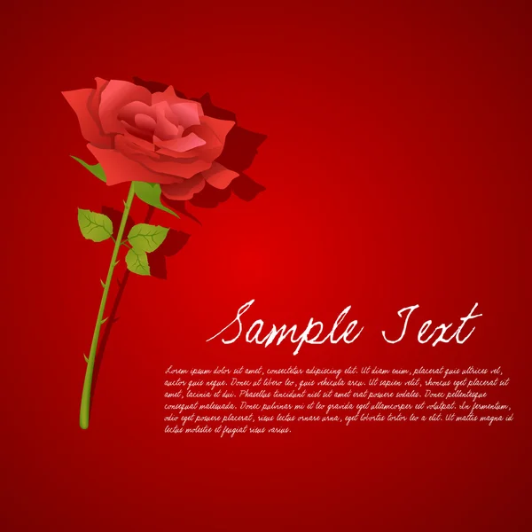 Valentine karta s růží — Stock fotografie