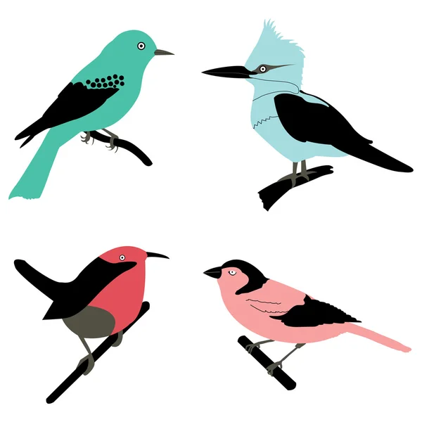 Verschillende vogels — Stockfoto