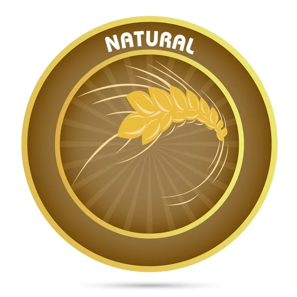 自然の穀物 — ストック写真