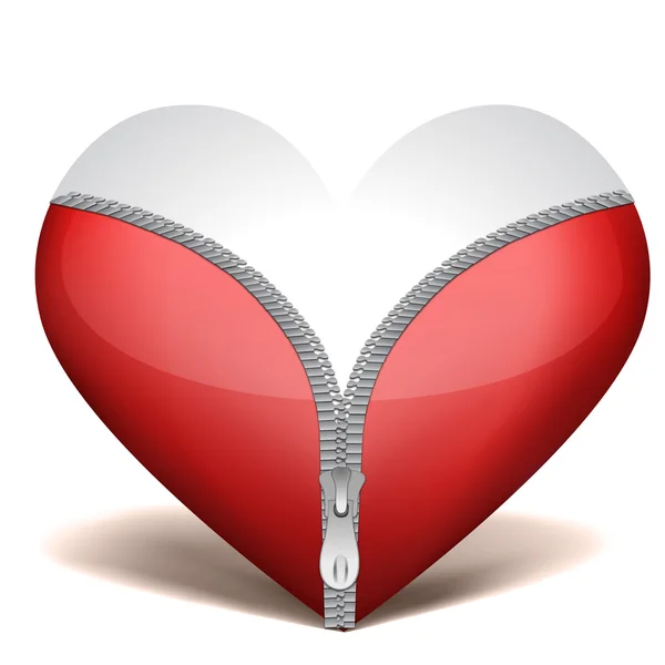 Illustration Unzipped Heart White Background — Stock Photo, Image