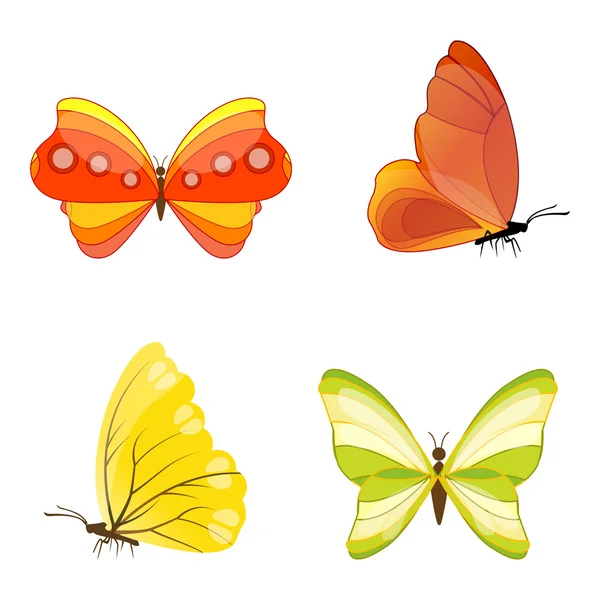 Illustration Papillon Coloré Sur Fond Blanc — Photo