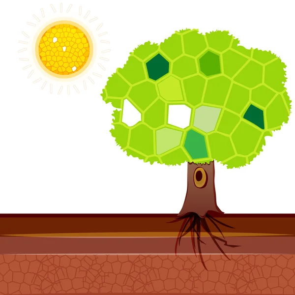 Güneş ile doğal ağaç — Stok fotoğraf