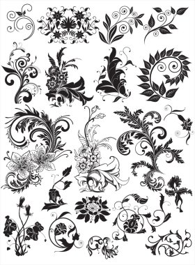 Floral elements for design clipart